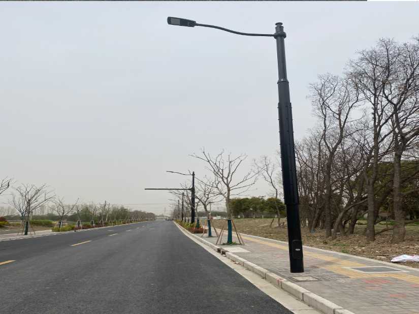 淮阳区上海综合杆 太阳能路灯工程